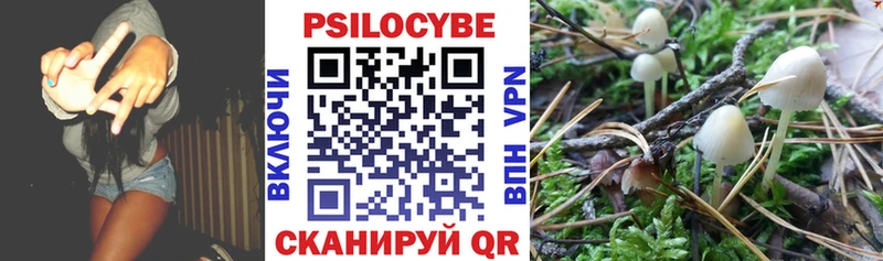 Псилоцибиновые грибы Psilocybe  MEGA маркетплейс  Невьянск  как найти наркотики 
